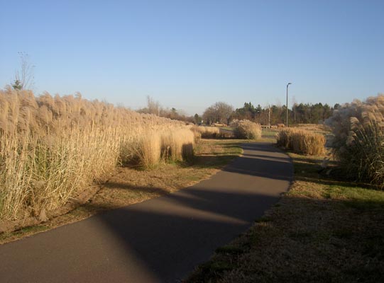 PICT0167